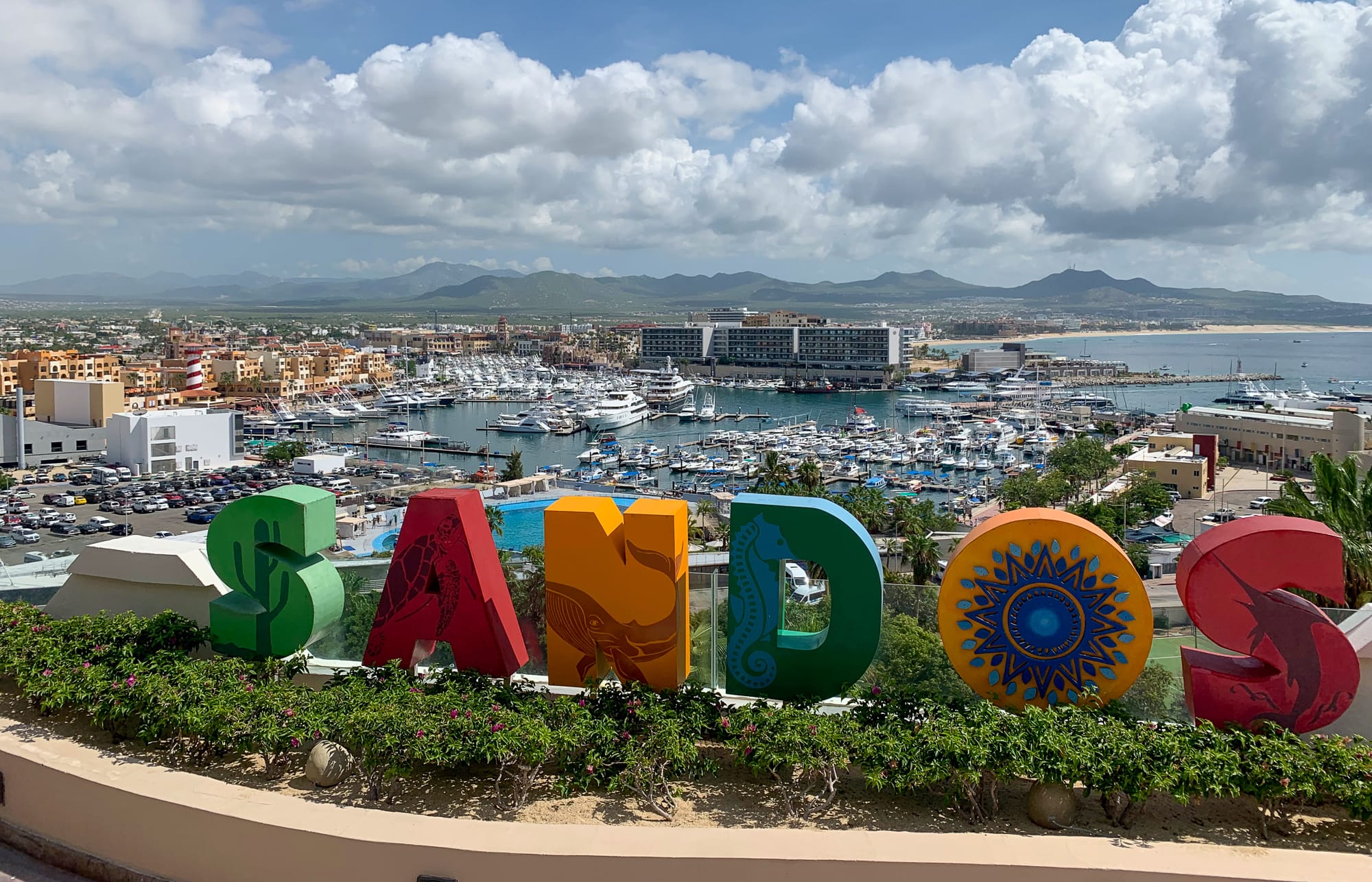 Honeymoon in Cabo