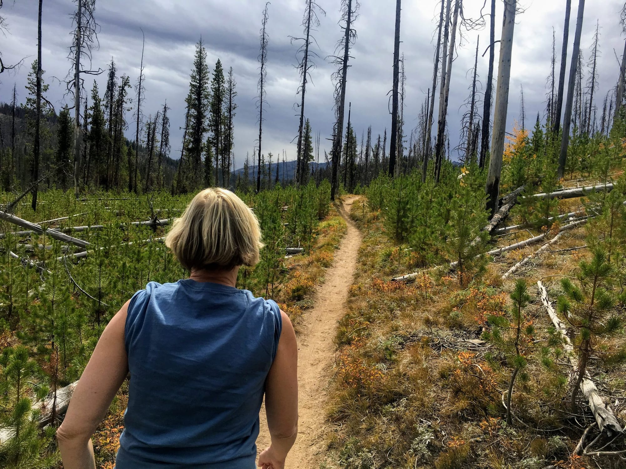 McCall Sept, 2018