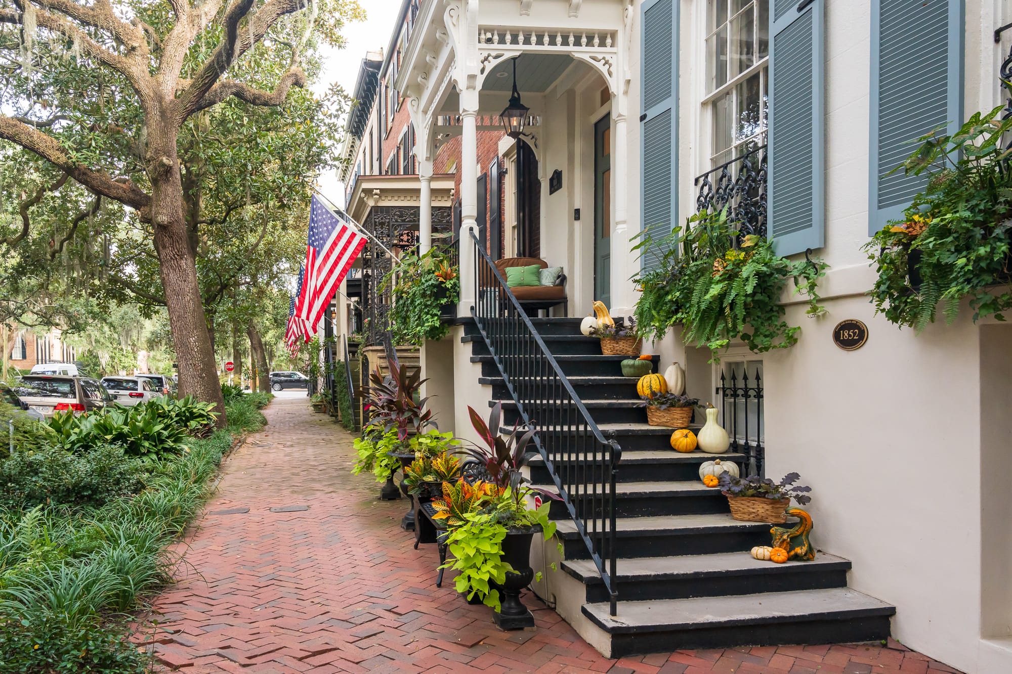 Savannah