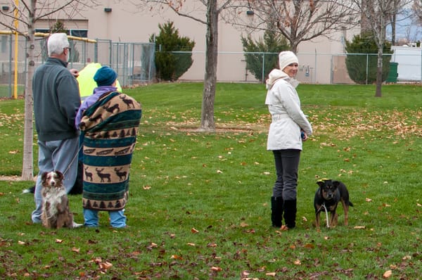 Pudge's Obedience Class