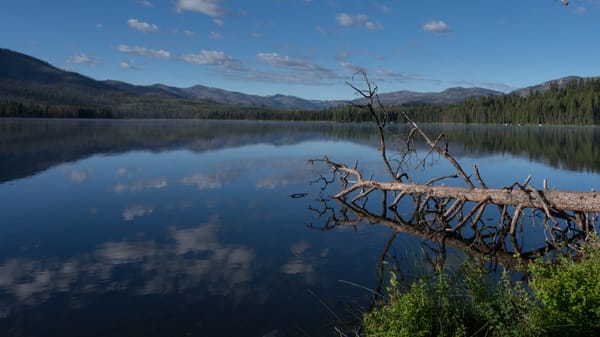 Warm Lake, 2014