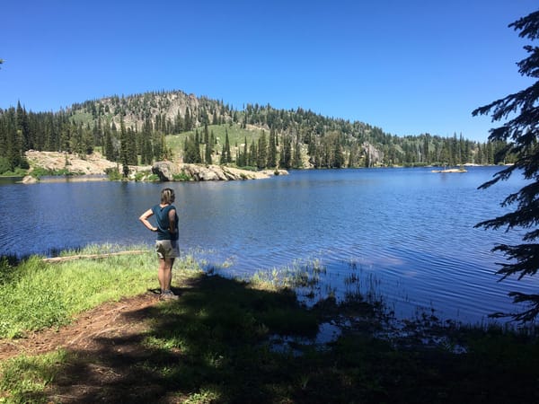 McCall, 2017