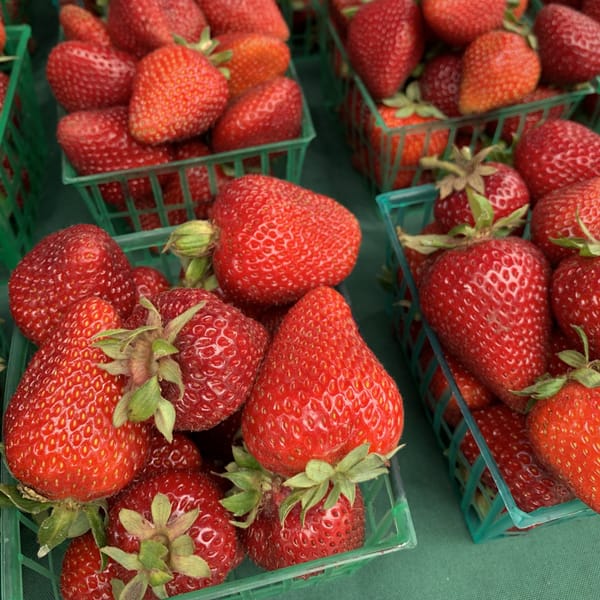 Farmer's Market & Garland Ranch