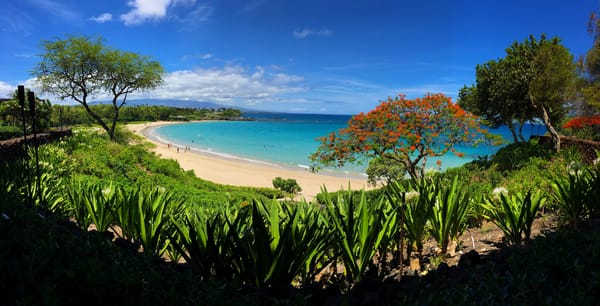 Hawai'i 2019