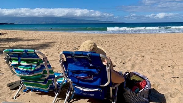 Maui, 2022